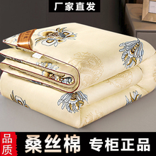 春秋桑丝棉空调被轻薄款夏凉被单人双人秋冬被褥工厂直发四季被芯