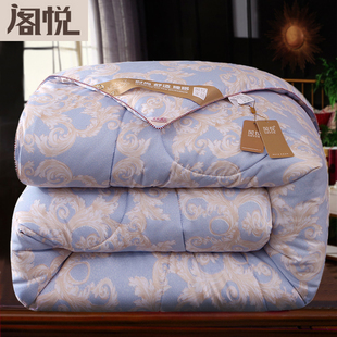 加厚被子冬被春秋被太空调被轻薄款 双人秋冬丝棉被芯冬天保暖冬季