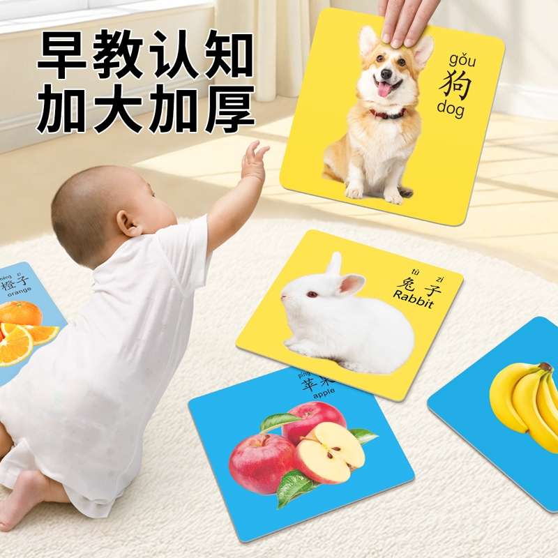 动物卡片儿童认知早教