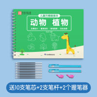Children's groove pen control training drawing book, simple drawing, coloring book for kindergarten senior class, picture book, introduction to drawing thumbnail 2
