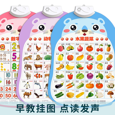 婴幼儿早教有声挂图点读发声