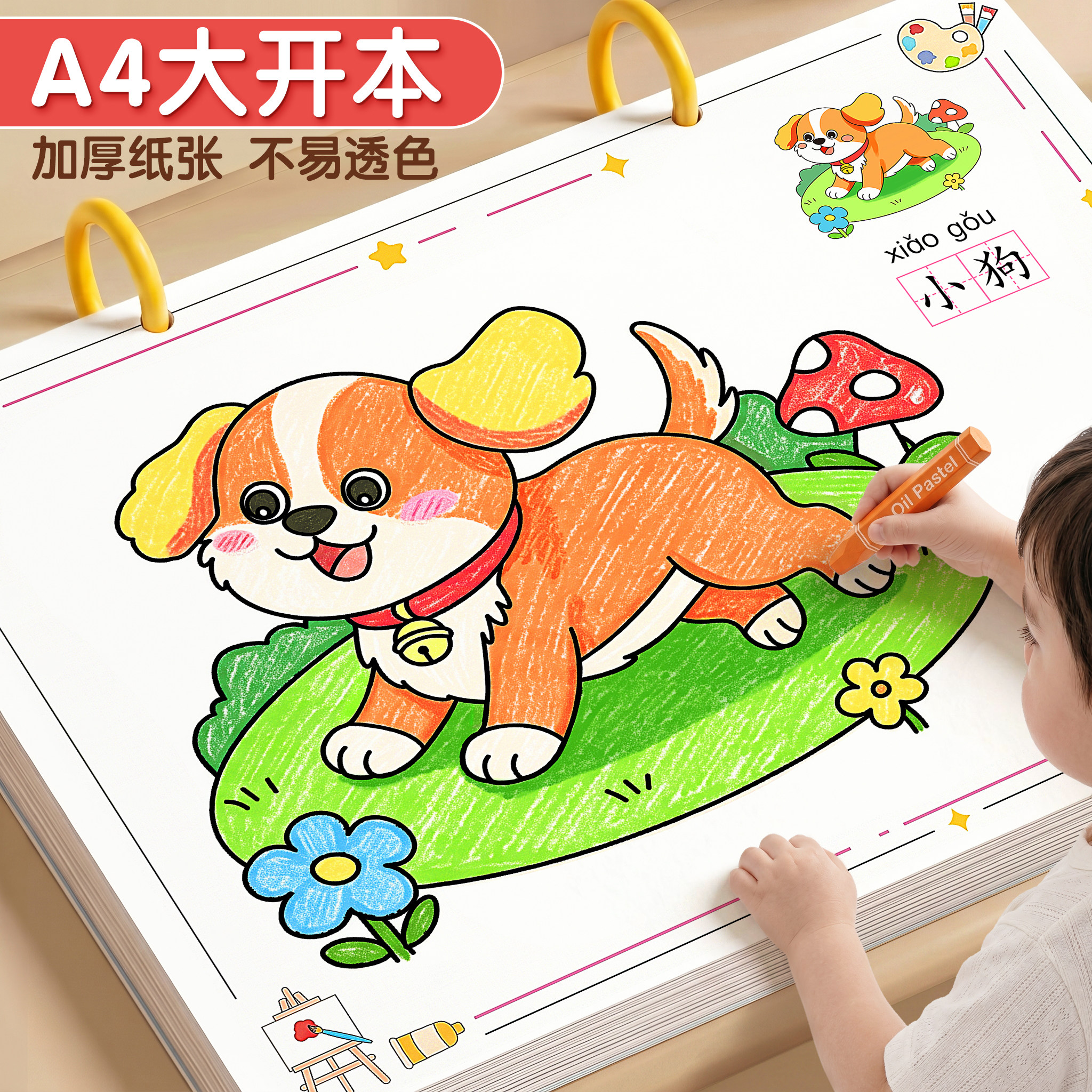 【A4大尺寸】大色块加厚不透色