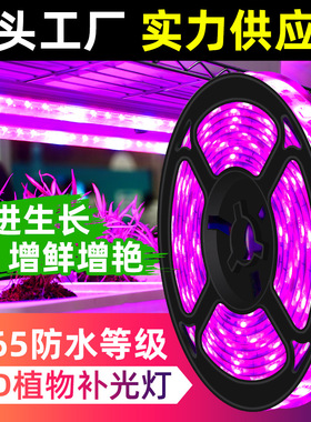 LED植物灯带全光谱USB充电粉紫色植物生长灯多肉绿植育苗5V补光灯