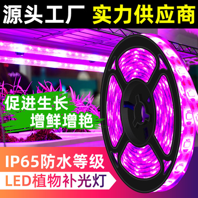 千美光植物补光灯生长灯