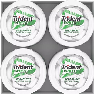 Trident 美国原装 White系列留兰香薄荷无糖口香糖 60粒 罐