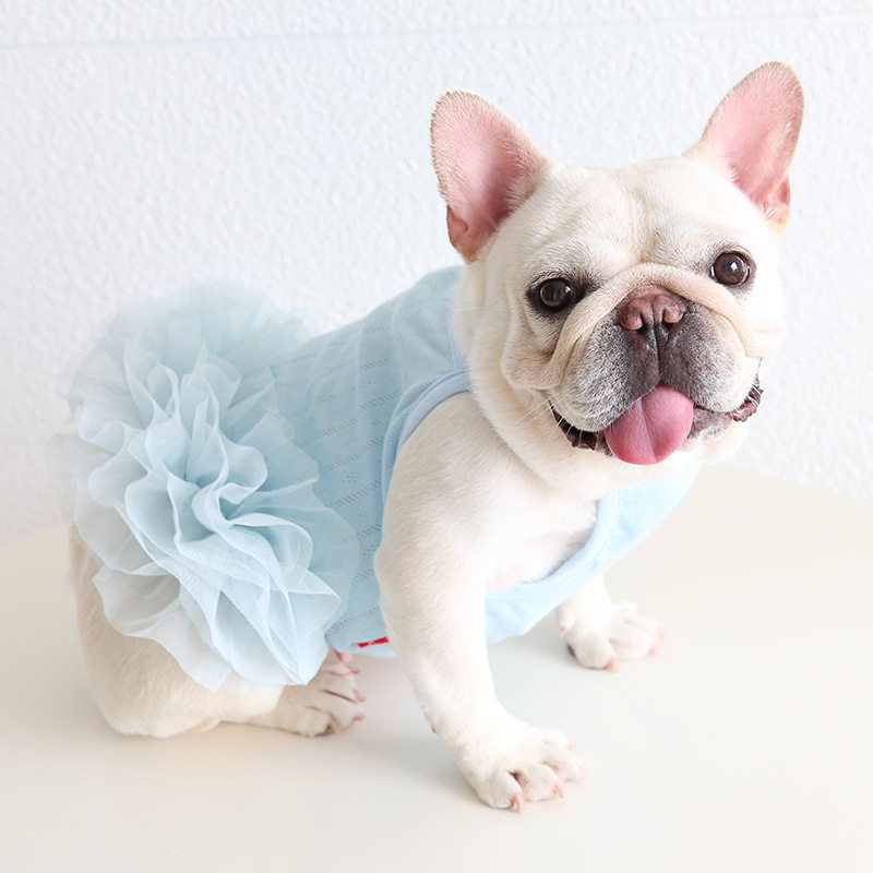 法斗提花网眼蓬蓬裙 百搭胖狗狗公主裙衣服英斗巴哥柯基加菲猫,宠物/宠物食品及用品,狗宠物服装/雨衣,淘宝优惠券,粉丝福利购,淘宝优惠卷