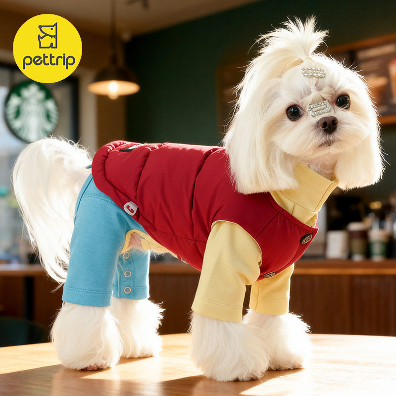 贝途秋冬保暖宠物羽绒服小狗猫咪抽绳羽绒马甲泰迪博美雪纳瑞冬装
