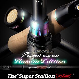 正品日本Evergreen卡雷多RSGT猎户座独节路亚竿树蝰至尊乌鸦现货