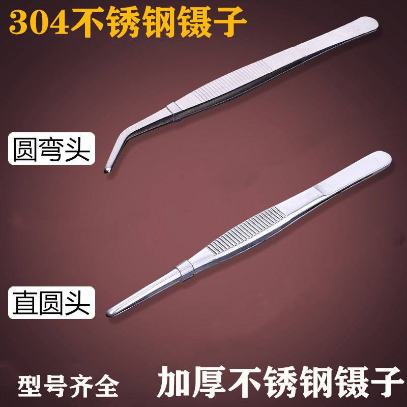 镊子工具不锈钢圆头大小