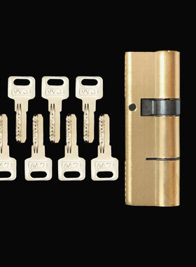 防盗门全铜锁芯纯铜大门入户门通用型老式双面防撬家用弹子AB锁芯