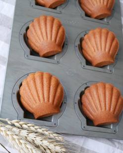 日本千代田6连胖贝壳玛德琳不沾蛋糕模具ChiyodaCUOCA联名款