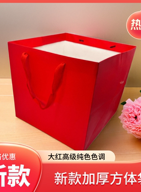 大红色方体纸袋加大号中国红喜庆礼品袋蛋糕生日礼物袋外卖打包袋