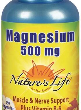 Nature’s Life Magnesium Capsules, 500mg | High Potency Magn