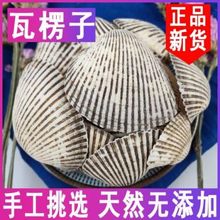 生瓦楞子 无硫中药材 野生瓦屋瓦垄血蛤魁蚶泥蚶毛蚶贝壳 包邮