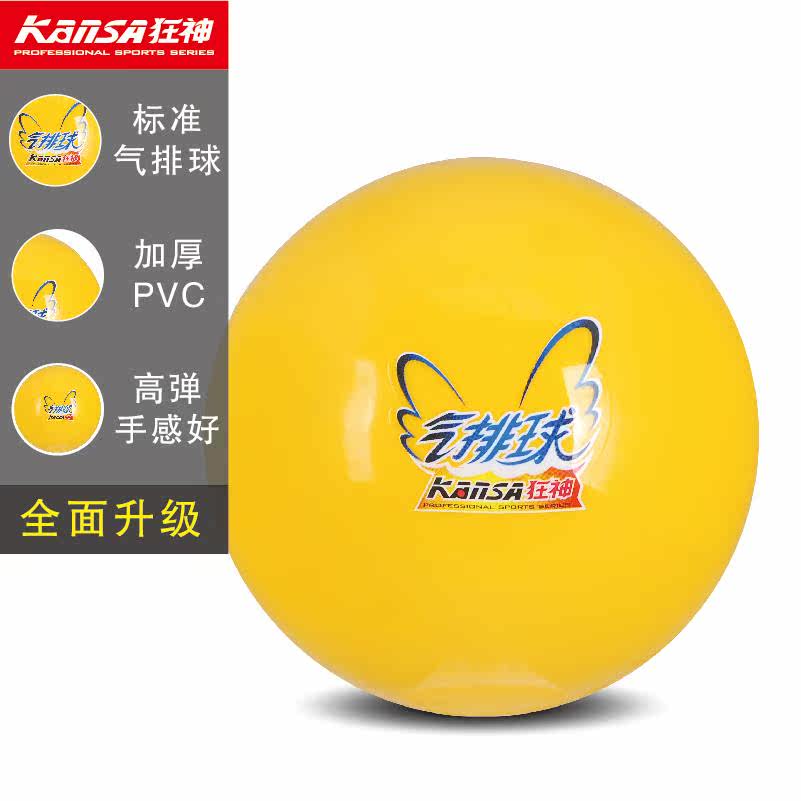 Ballon de volley-ball - Ref 2012775 Image 3