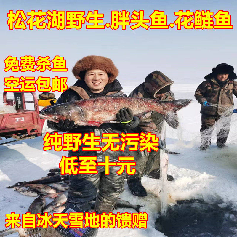 松花江冰下鱼,水产肉类/新鲜蔬果/熟食,淡水鱼类,淘宝优惠券,粉丝福利购,淘宝优惠卷