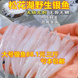自然生长银鱼新鲜水产冷冻面条鱼白饭鱼鱼类辅食1500g鲜活包邮