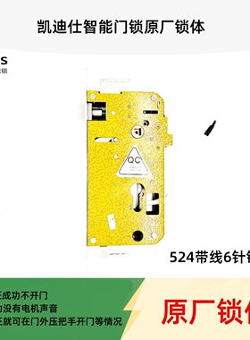 凯迪仕S150/F500/S110/F300锁体