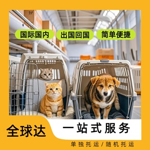 上海国际宠物托运空运服务 宠物出入境手续代办 美国欧洲日本香港
