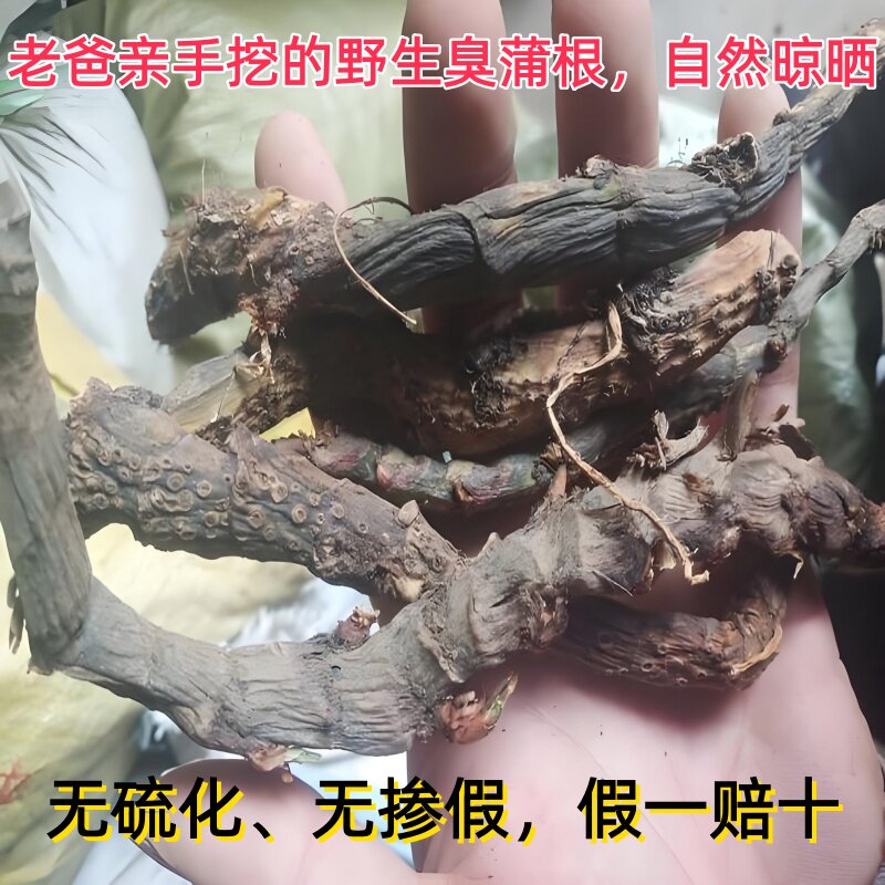 自然晒干野生干臭蒲根水菖蒲老根无硫无掺假中药材假一赔十