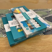 红豆粘土 温莎牛顿丙烯颜料 12色 18色 24色粘土画画用