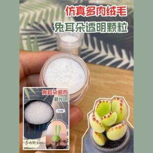 仿真多肉绒毛树脂粘土软陶多肉叶片用仿真绒毛粉碧光环兔耳朵颗粒