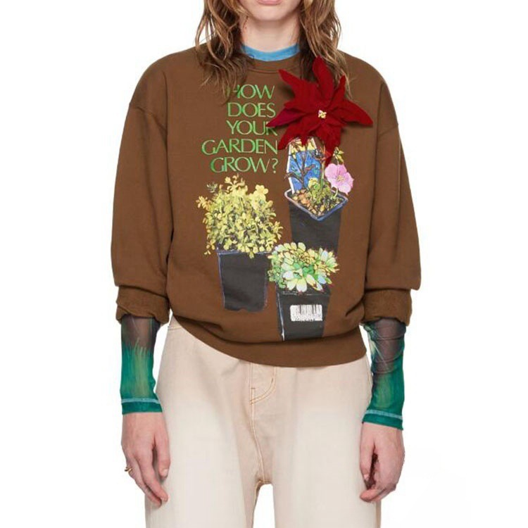 现货25年春冬新款复古彩色盆栽卡通印花卫衣加绒加厚圆领运动衫女