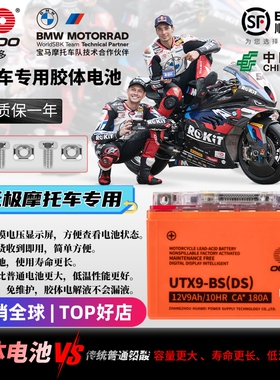 无极500R AC DS 525R 650DS 300R RR AC GY DS 250RR蓄电池电瓶