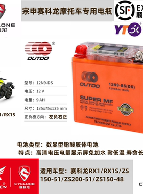 赛科龙RX1/RT3/RE3/RX3S/RX4/RZ3RC3摩托车电瓶12V大排量专用锂电