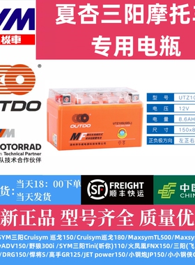 夏杏三阳巡戈150TL500TL508哈士奇飞度3/4/5摩托车电瓶锂电池通用