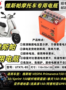适用维斯帕VESPA/GTS300/GTV300/GTS250LXV150春天冲刺摩托车电瓶