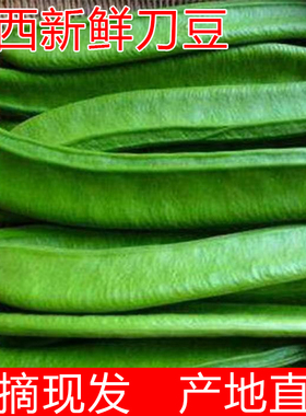 新鲜刀豆当季现摘扁豆虹豆当季大刀豆时令大虫豆芭豆脆口嫩整箱