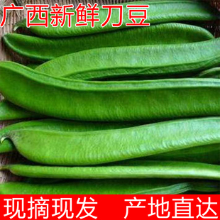 新鲜刀豆当季 大刀豆时令大虫豆芭豆脆口嫩整箱 现摘扁豆虹豆当季