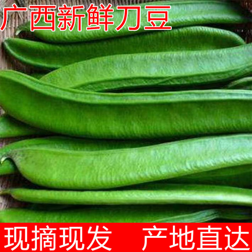 广西新鲜现摘刀豆脆口嫩