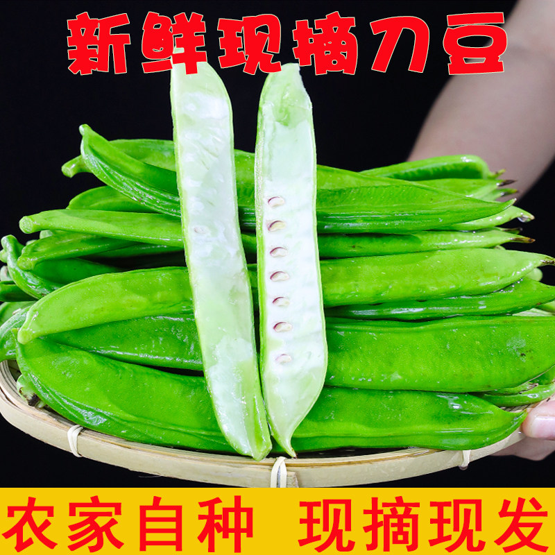 刀豆新鲜嫩刀芭豆广西现摘虹豆角大扁豆巴豆当季大虫豆农家自种