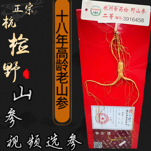 杭检二等野山参长白山人参正品新货带证书送礼盒煲汤食材优质林下