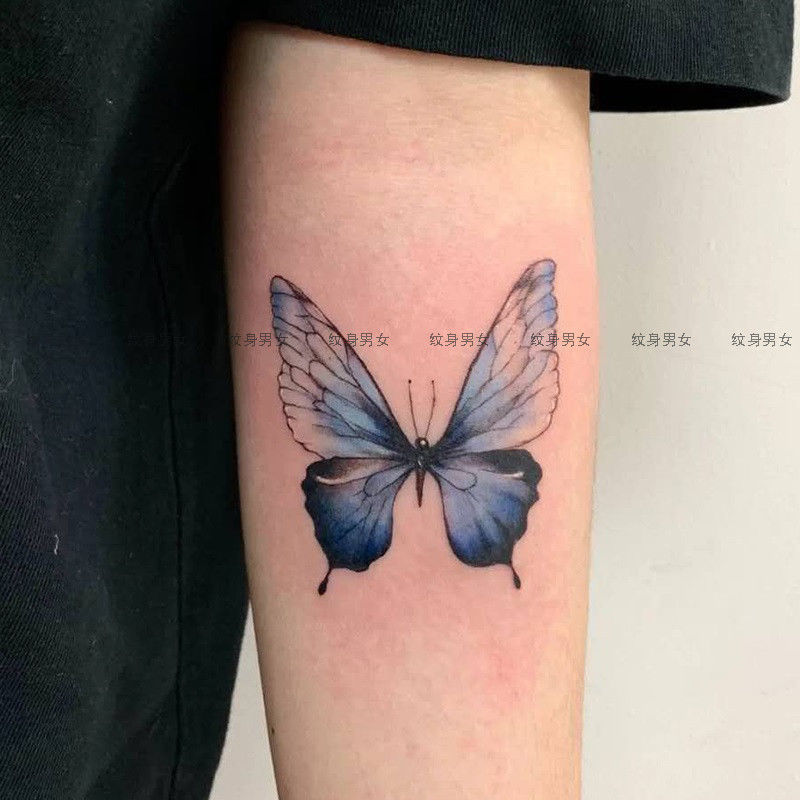蝴蝶纹身贴性感防水女持久手臂
