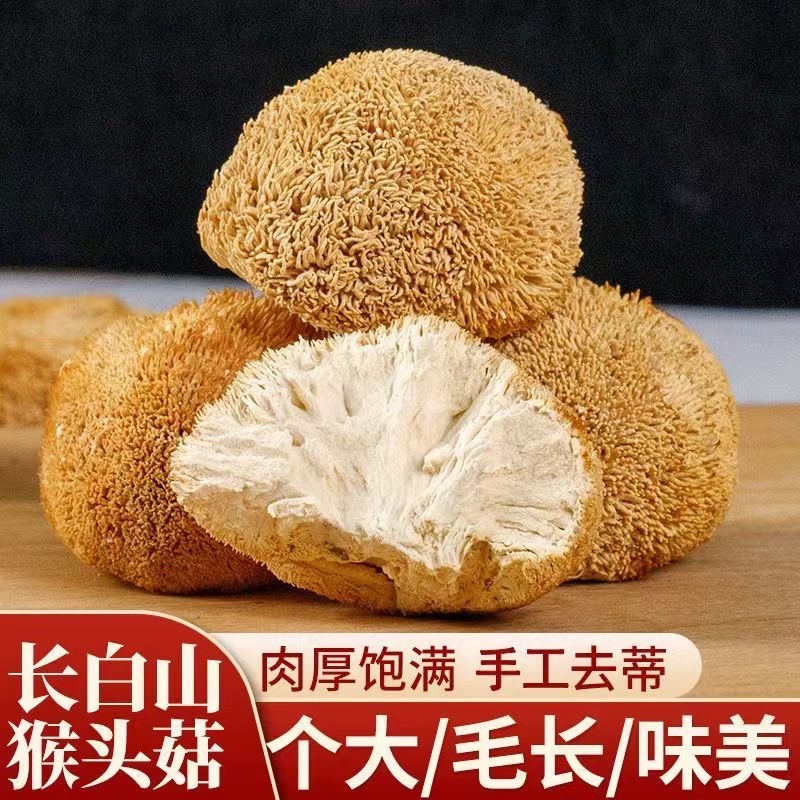 猴头菇干货新500g包邮古田农家野生新鲜猴头菇养胃无硫无霉土特产