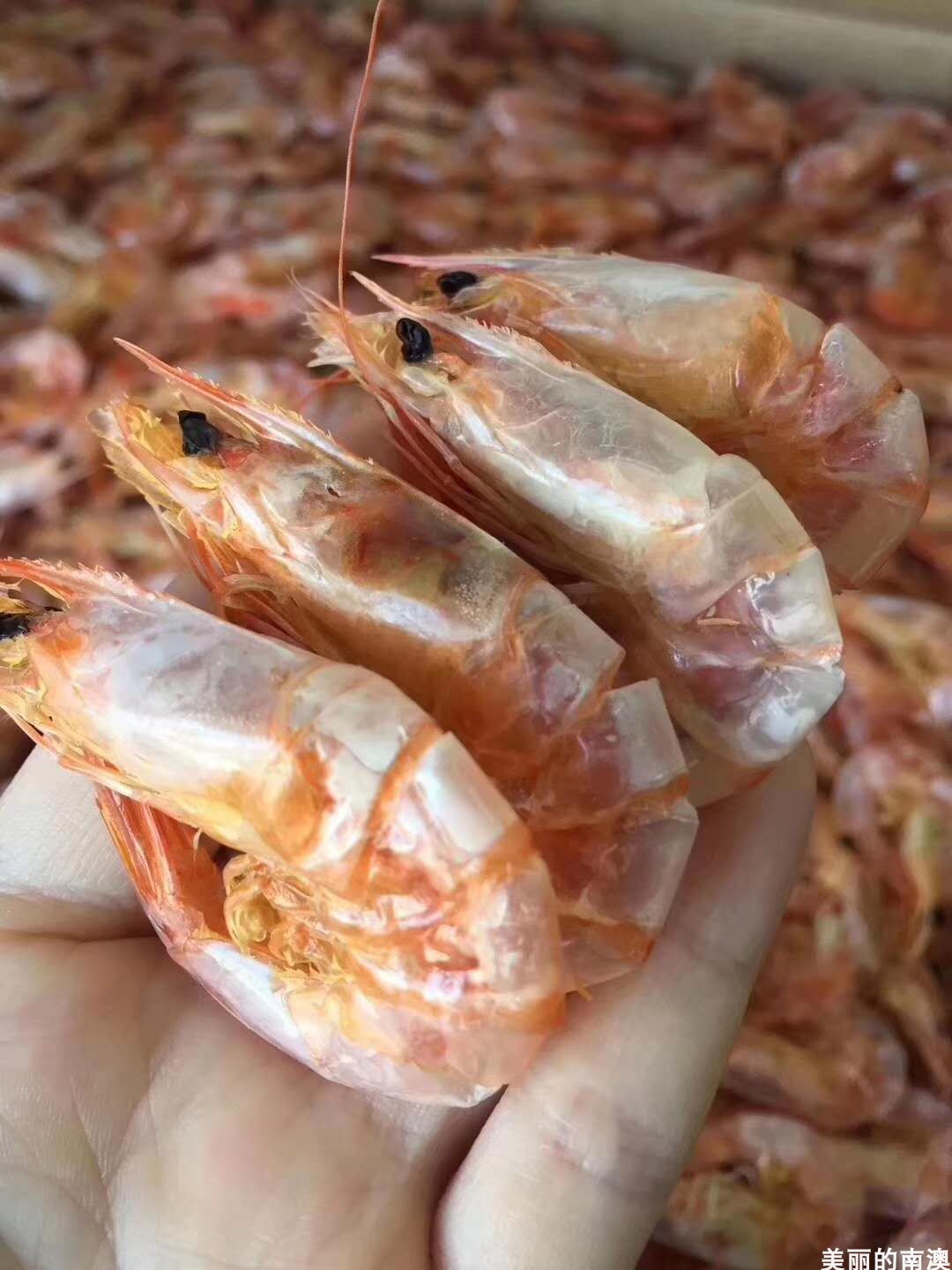 南澳特产特级野生中烤虾干即食海虾干脆虾干海鲜干货零食500g包邮