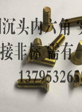 H62铜沉头内六角 M10*70 M10x70 其他规格可定制