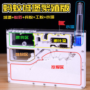 蚂蚁工坊沙土版 送蚁后可繁殖可产卵 大头蚁蚂蚁城堡豪华宫殿别墅