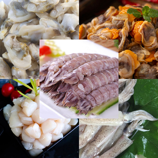 海螺肉蛏肉皮皮虾肉贝丁墨鱼仔蚶子肉扇贝小章鱼渤海湾唐山黑沿子
