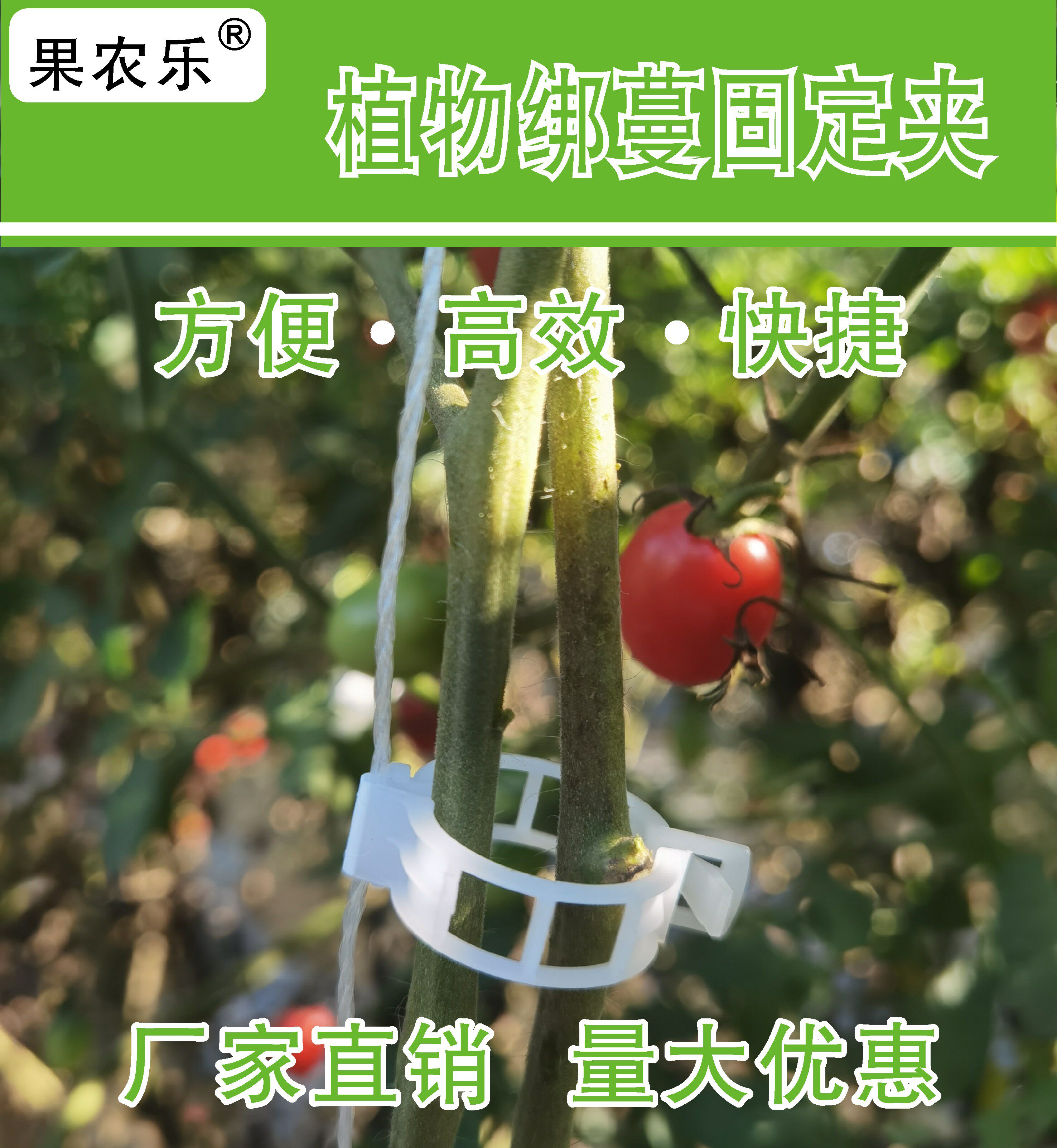 番茄西红柿卡扣植物固定蔬菜