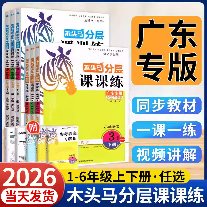 【广东专版】木头马分层课课练图片