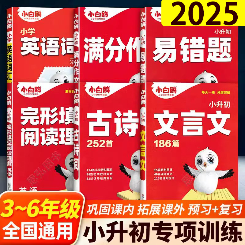 小白鸥小升初专项训练