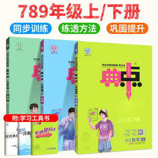 2024版典中点初中七年级八年级九年级上册下册同步练习册语文数学英语物理化学人教版北师大版沪科版华教版