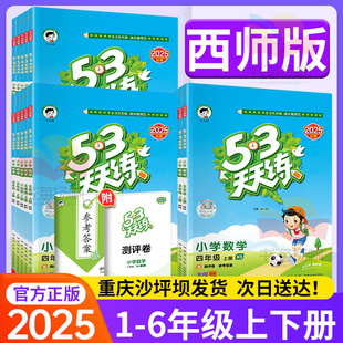 正版 53天天练西师版数学一二年级下三四年级五六年级下册语文英语上册5.3同步训练册题人教版口算题卡试卷口算五三天天练测评卷下