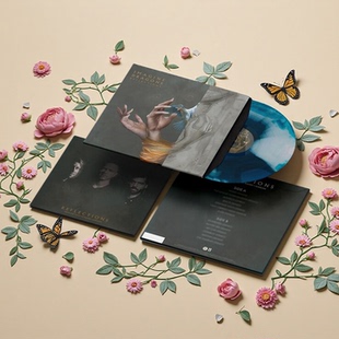 现货进口 梦龙乐队 Imagine Dragons Reflections LP黑胶唱片彩胶