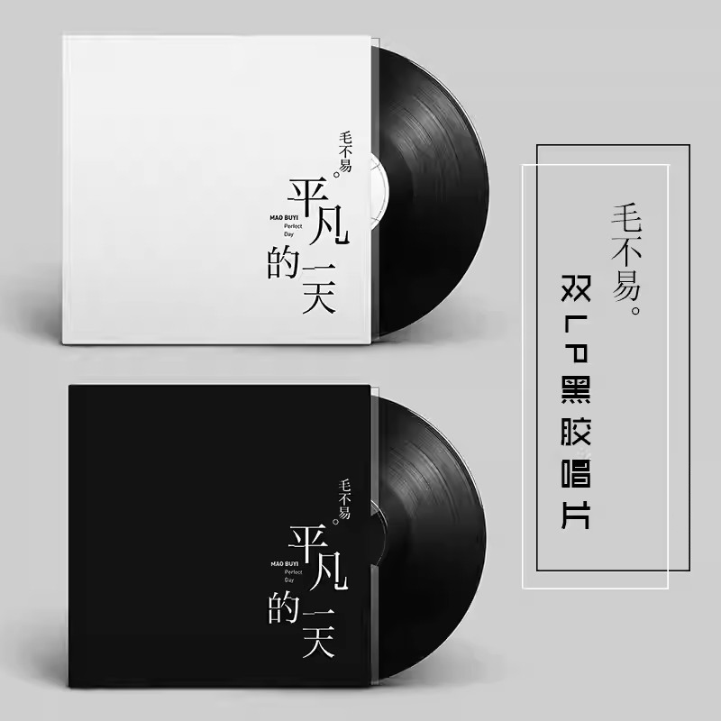正版 毛不易专辑 平凡的一天 LP黑胶唱片 老式留声机12寸碟片唱盘