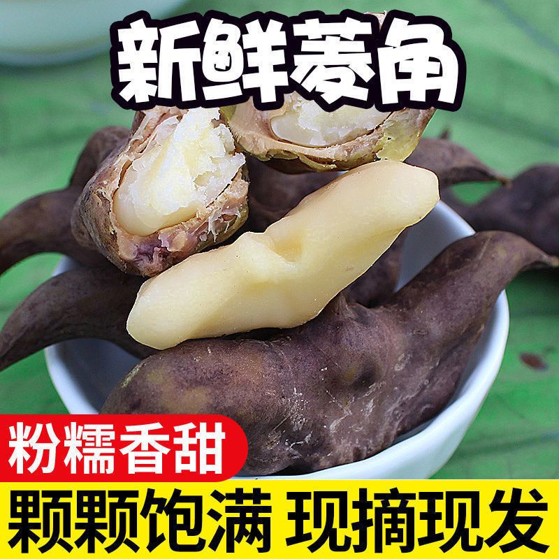 洪湖老菱角新鲜生棱角粉糯老菱角番薯